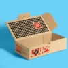 Ear Lock Mailer Box view 3
